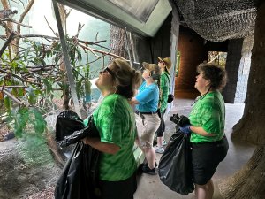 RxBenefits employees in green shirts volunteering in a zoo.